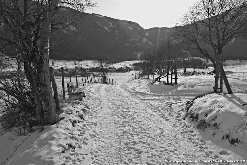 s_DSC_1187_bw_lzn.jpg