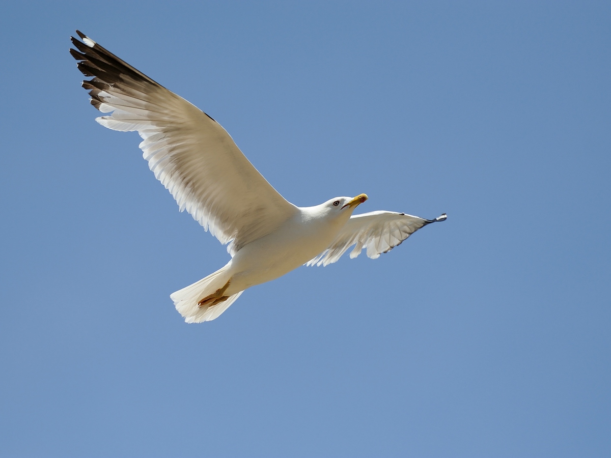 C_DSC_2353_1.jpg