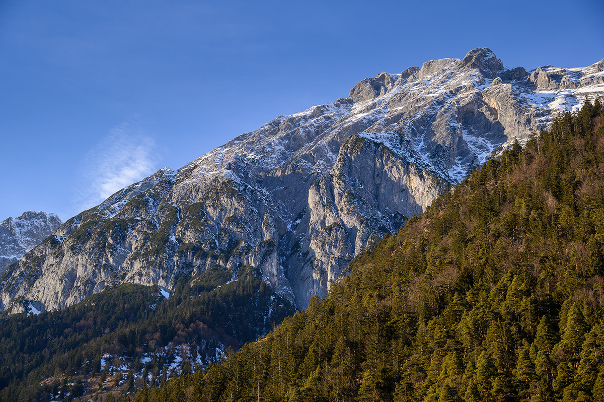 20210109_NZ6_0696NF.jpg