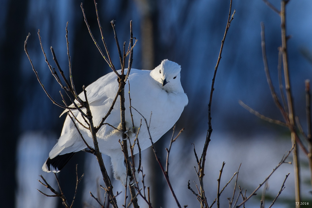 DSC_2835.jpg