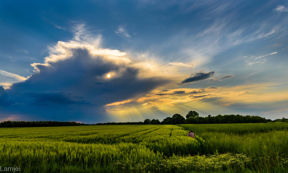 DSC_3546-HDR.jpg