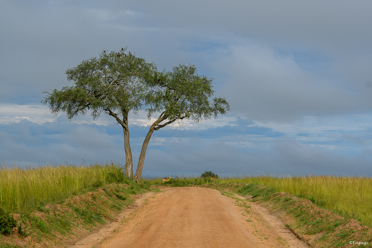 Uganda%200183.jpg