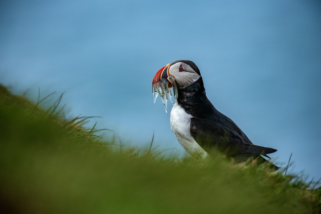 DSC_2292-XL.jpg