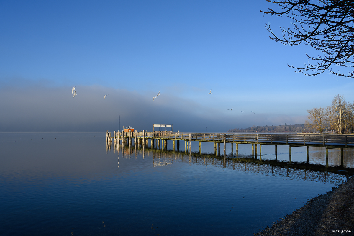 DSC_1140.jpg