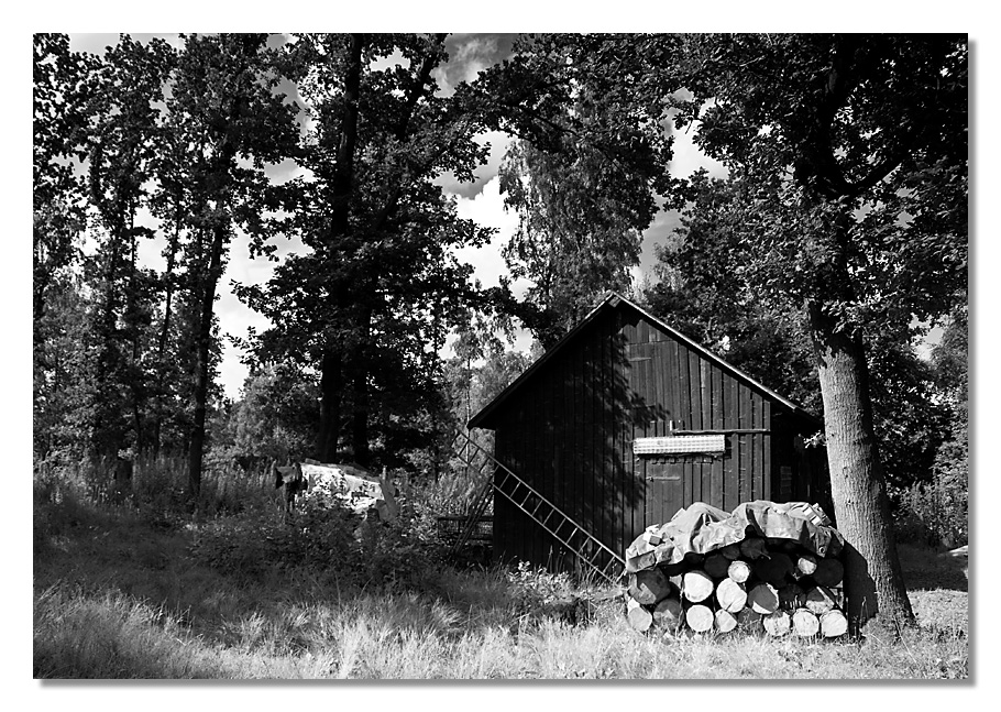 HausImWald_8083.jpg