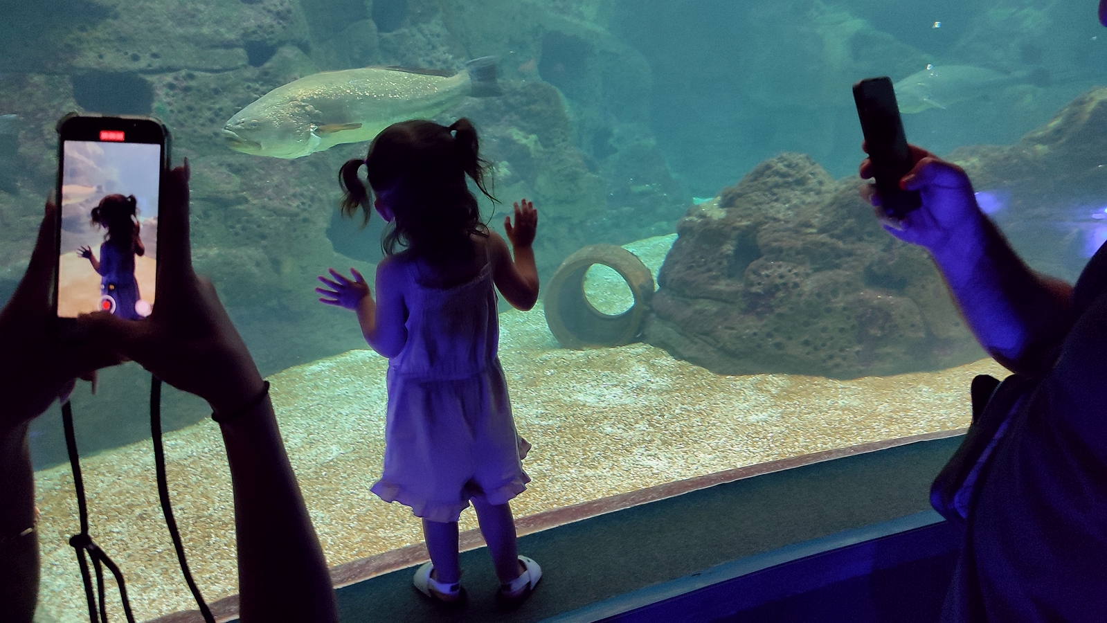 Maedchen_vor_Aquarium_Kreta.jpg