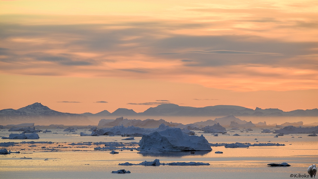 s1291_Ilulissat-Eisberge_9128.jpg