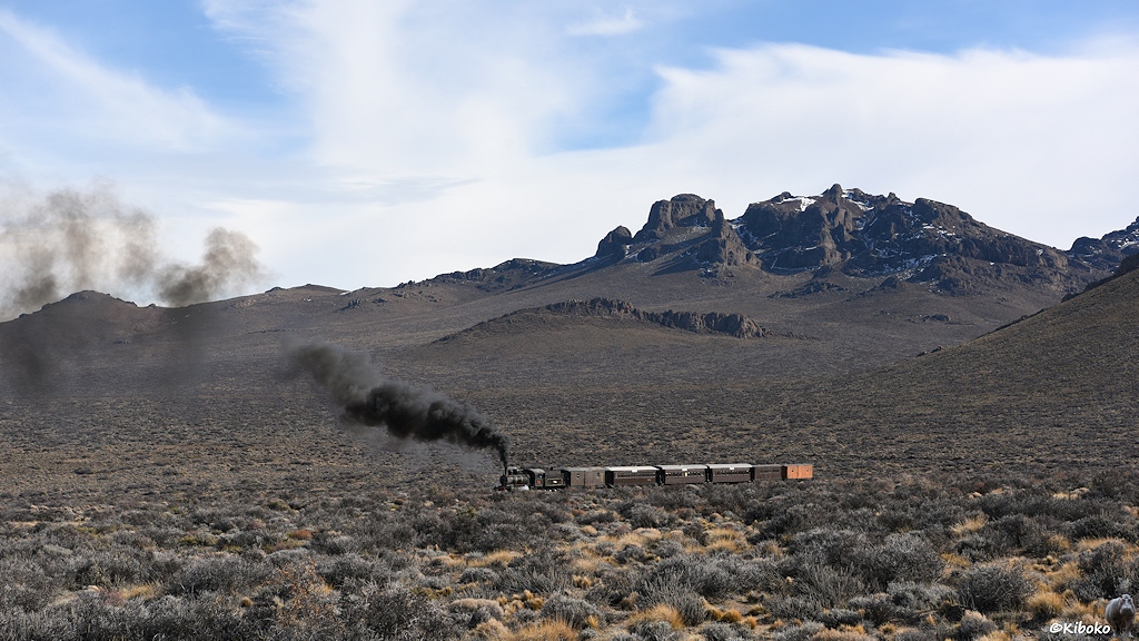 s432_bCerraMesa_104_8501.jpg