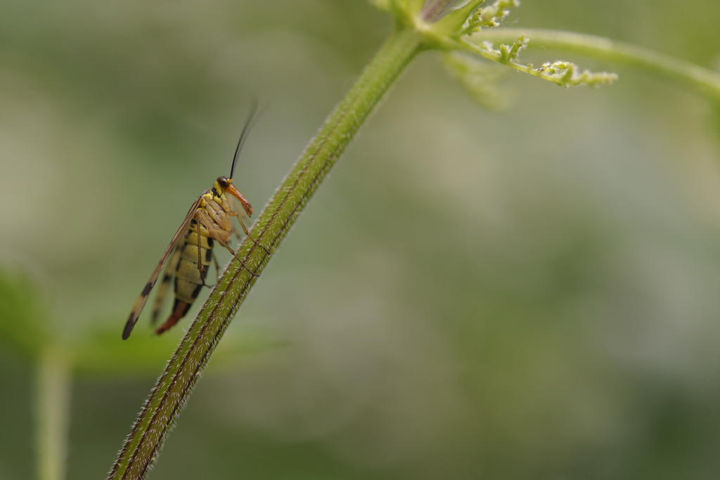 22268939ia.jpg