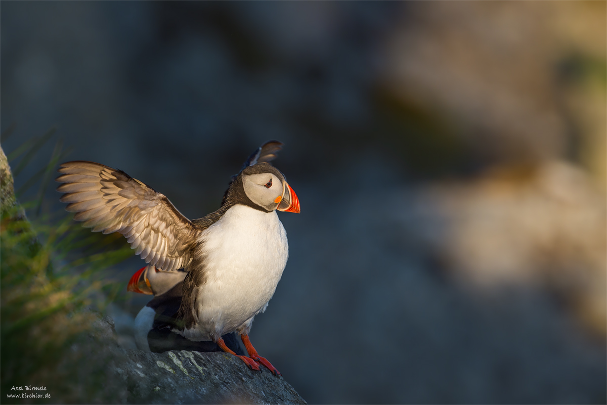 20140514_0646_PS_1200Px.jpg