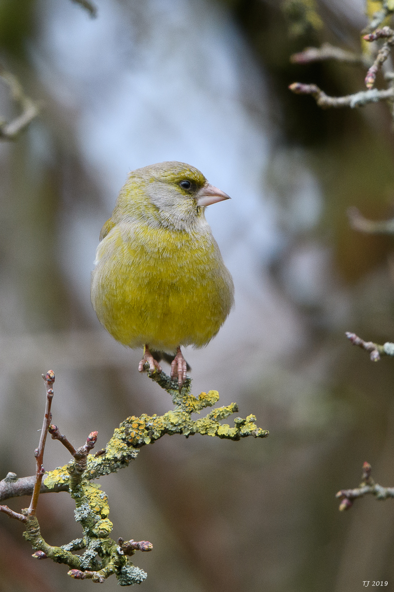DSC_7265.jpg