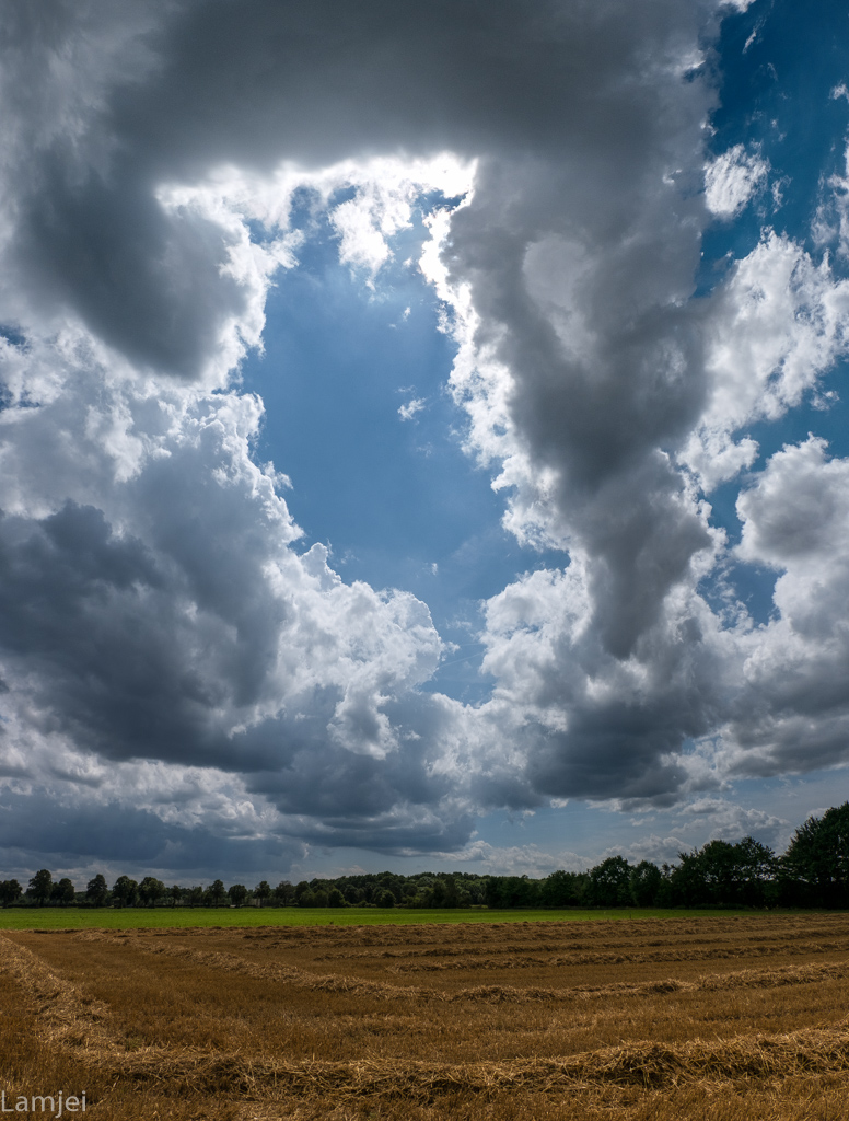 XT-20_98.jpg