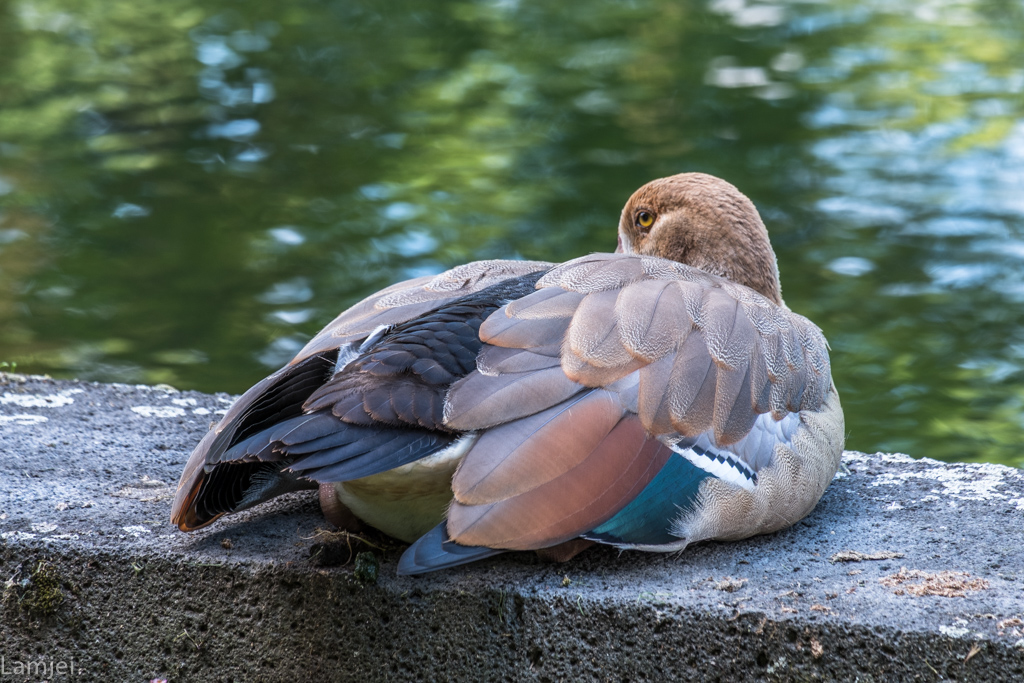 XT-20_66-2.jpg