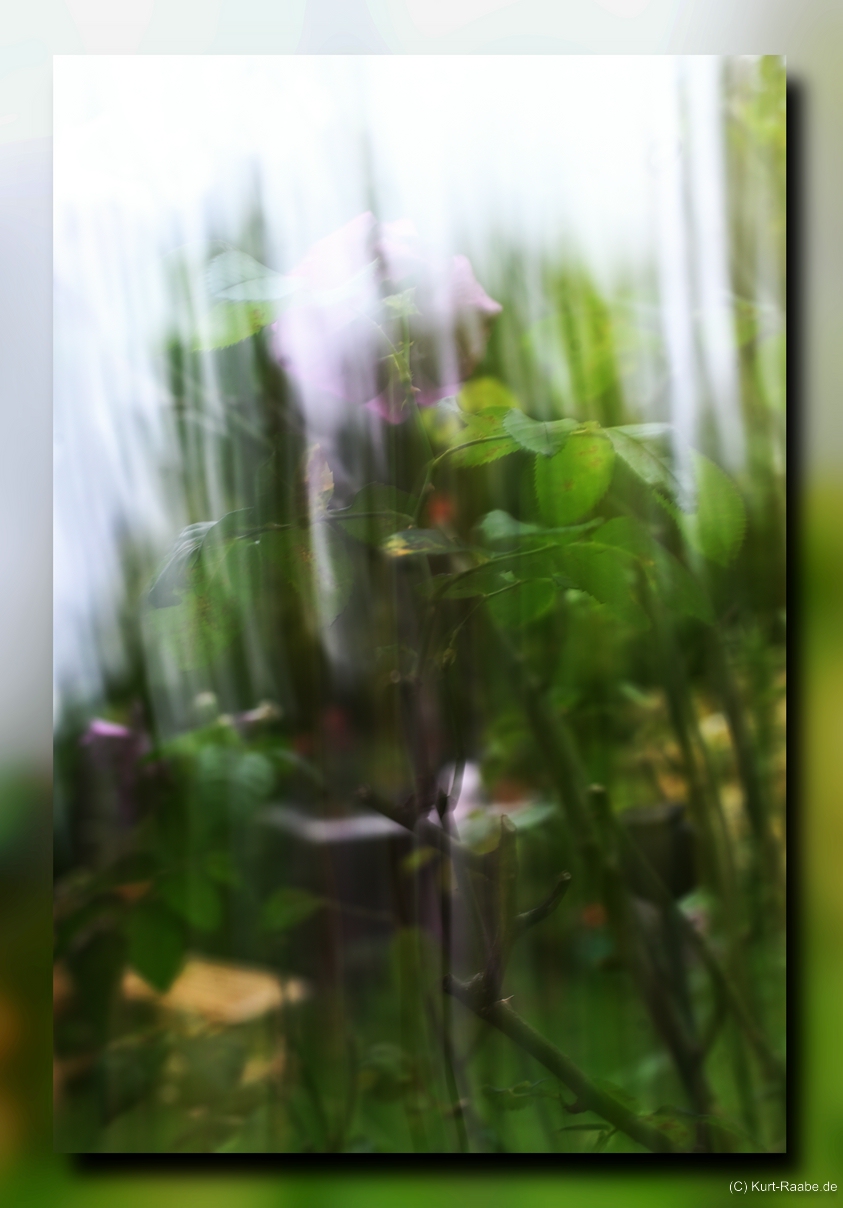 C-Kurt-Raabe.defx_frame_blur_7564.jpg