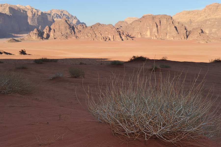 jordanien13_280.jpg