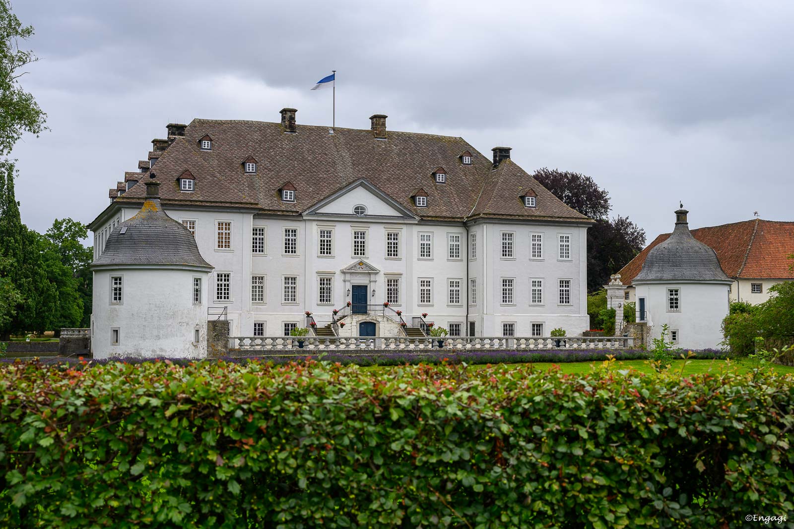 DSC_0593.jpg