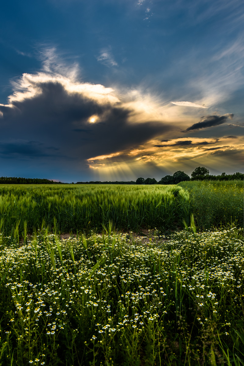 DSC_3541-HDR.jpg