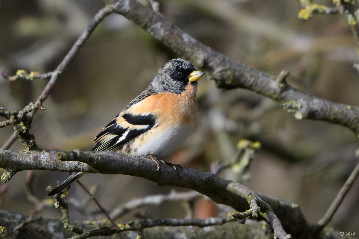 DSC_3899.jpg