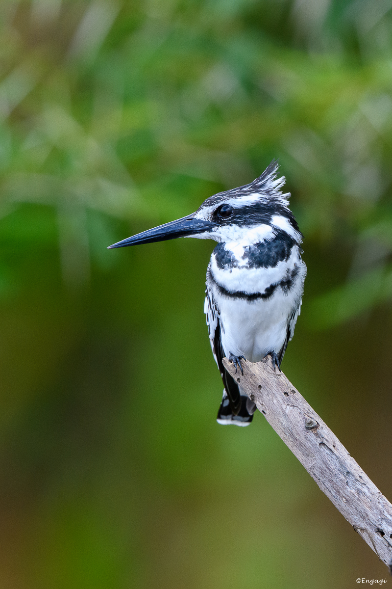 Uganda%200678.jpg