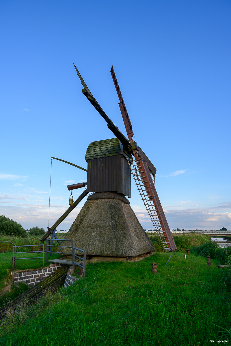 DSC_3152.jpg