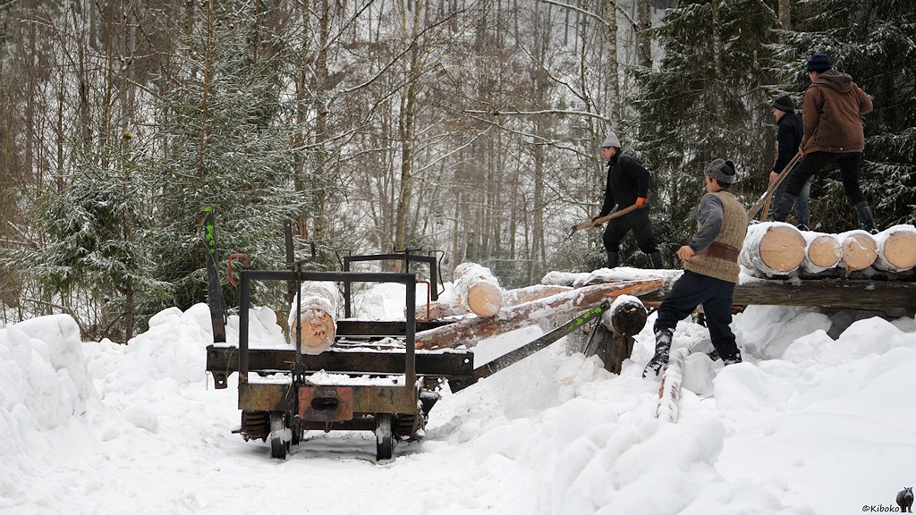 Holzverladung an der Verladerampe