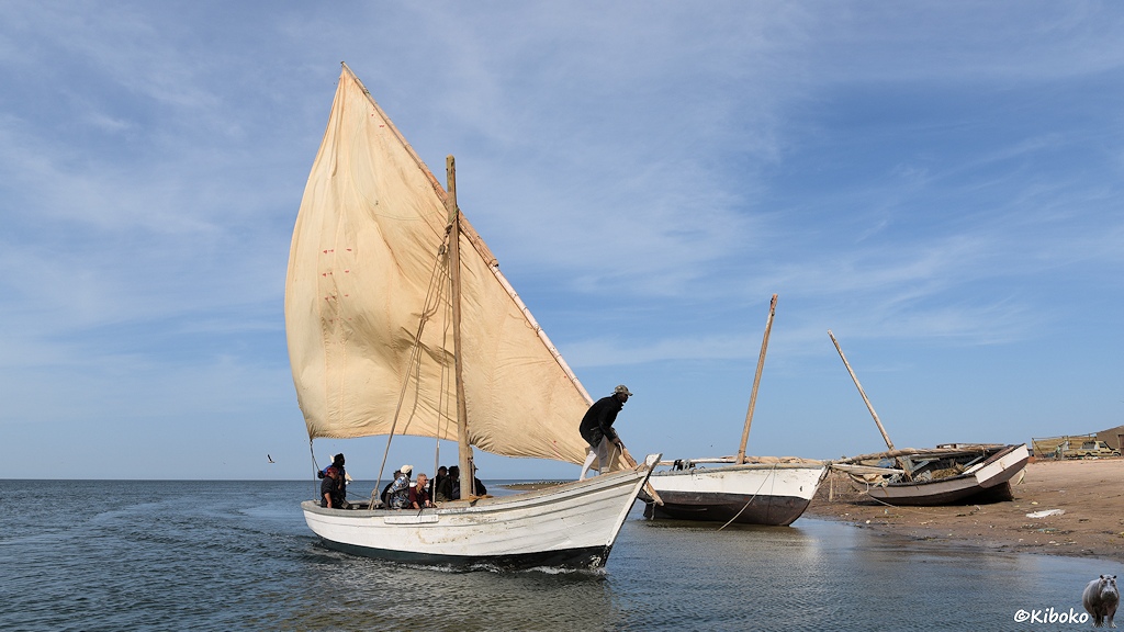 Das Bild zeigt ein weißes Segelboot aus Holz mit einem Segel. Es steuert auf einen Strand zu. Ein Mann steht am Bug. Der Kapitän steht am Heck. Eine Gruppe Fotografen ist in der Bootsmitte. Im Hinergrund liegt ein weiteres Segelboot schräg in Ufernähe und eins schräg auf dem Strand.