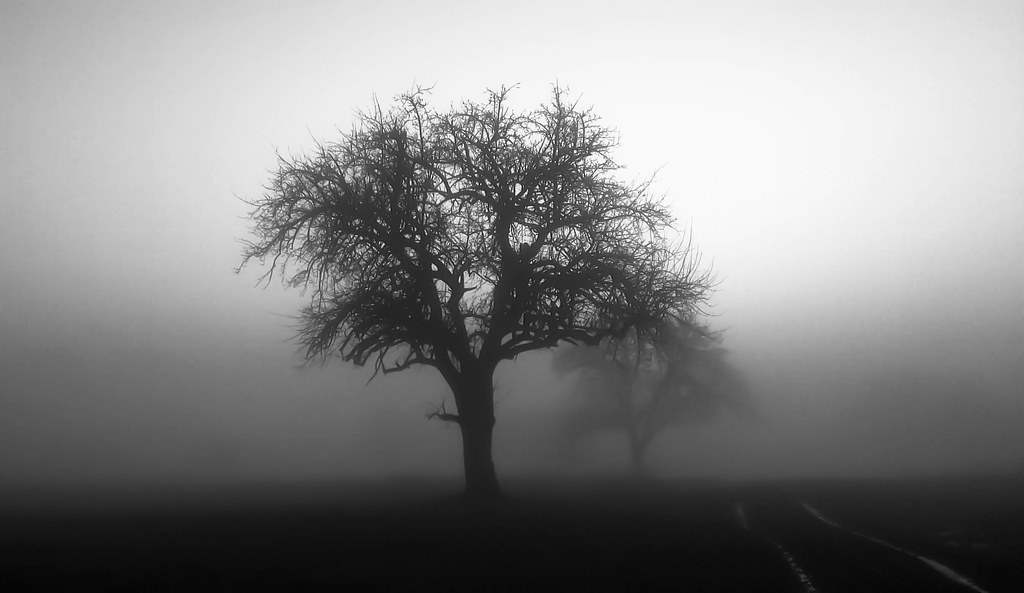 16551626462_b149bb35b0_b.jpg