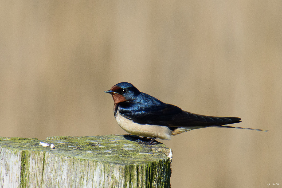 DSC_5089.jpg