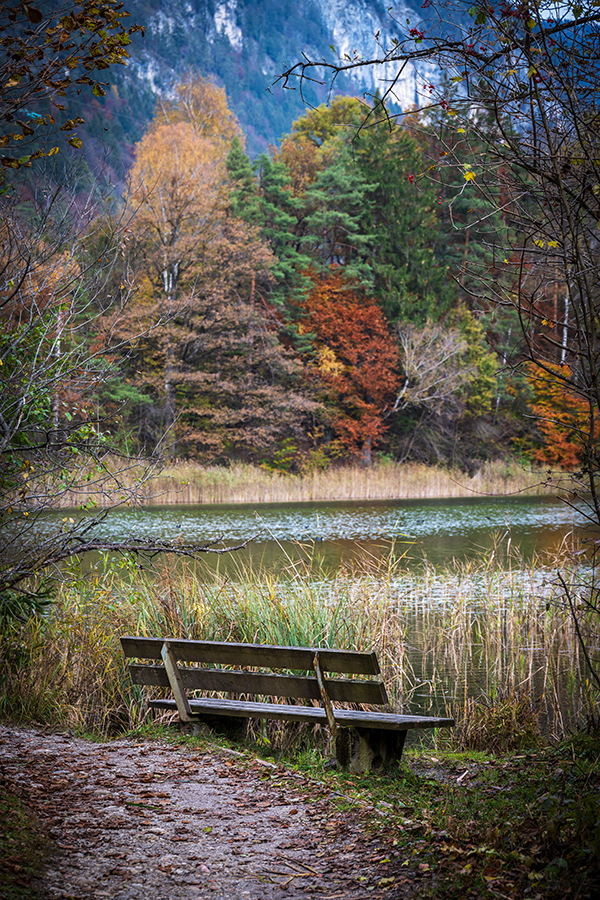 20201101_NZ7_0167NF.jpg