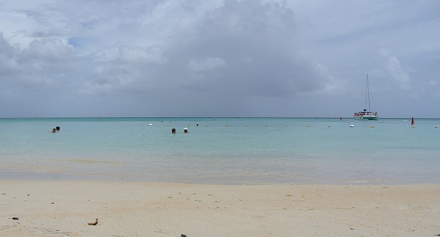 160308_083237.jpg