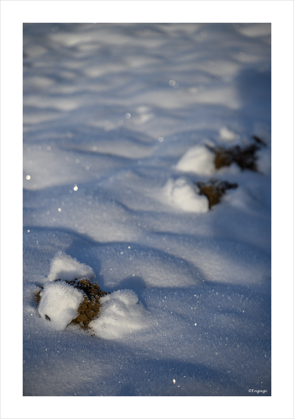DSC_9577.jpg