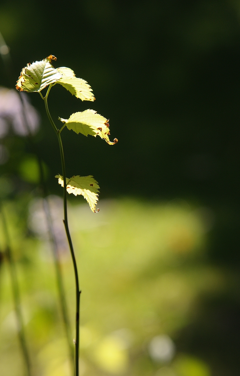 cK.R.-540DSC_2776.jpg