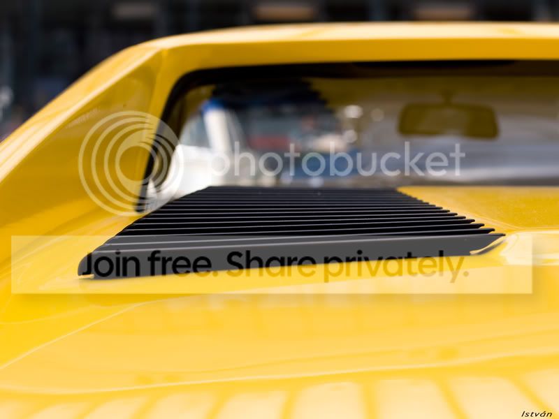 Ferrari-rippen-web.jpg
