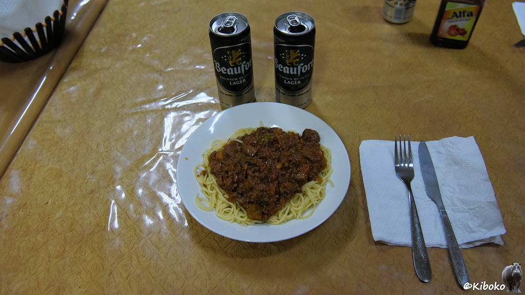 Das Bild zeigt einen Teller Spaghetti mit Fleischsoße sowie zwei grüne Beaufort Bierdosen auf einem mit Plastikfolie bespannten Tisch.