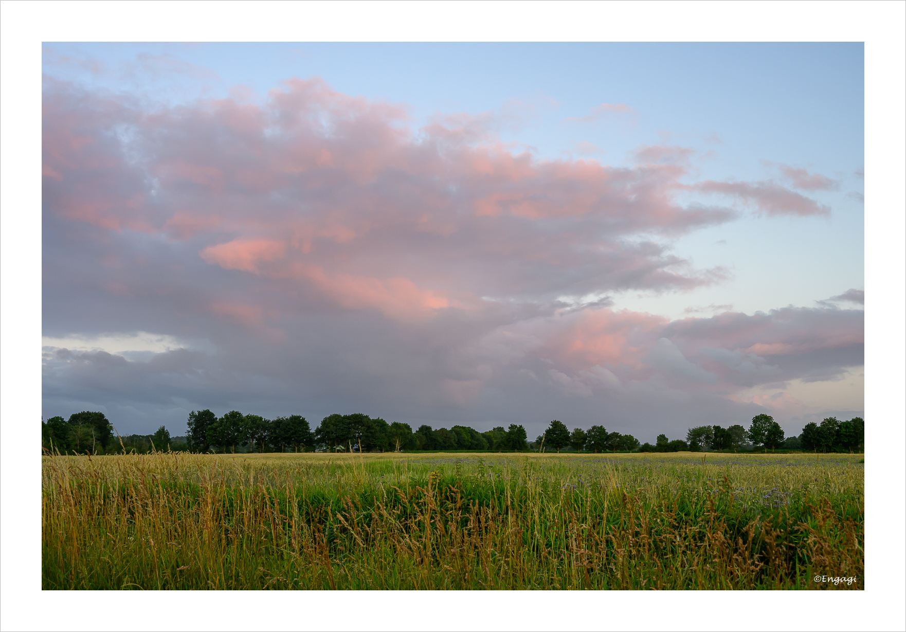 DSC_9866.jpg