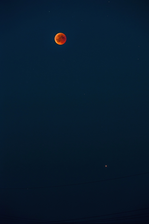 43689754451_9b52036b67_o.jpg