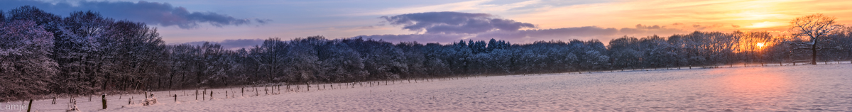DSC_5239-Pano.jpg