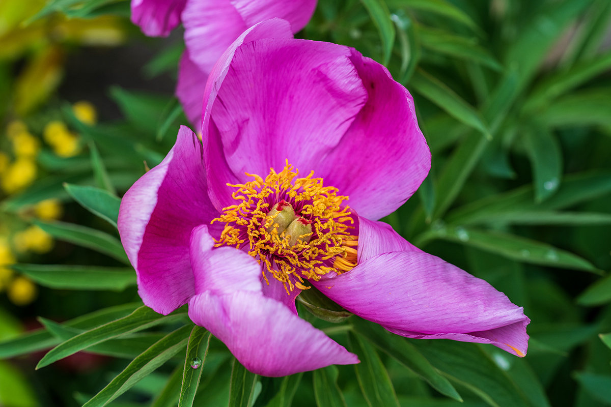 20190430_D850_0975NF.jpg