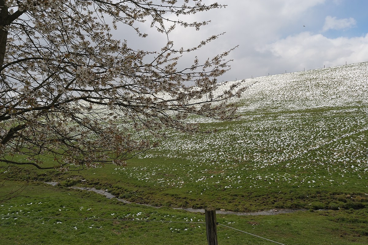 CK.R._DSC_2615.jpg