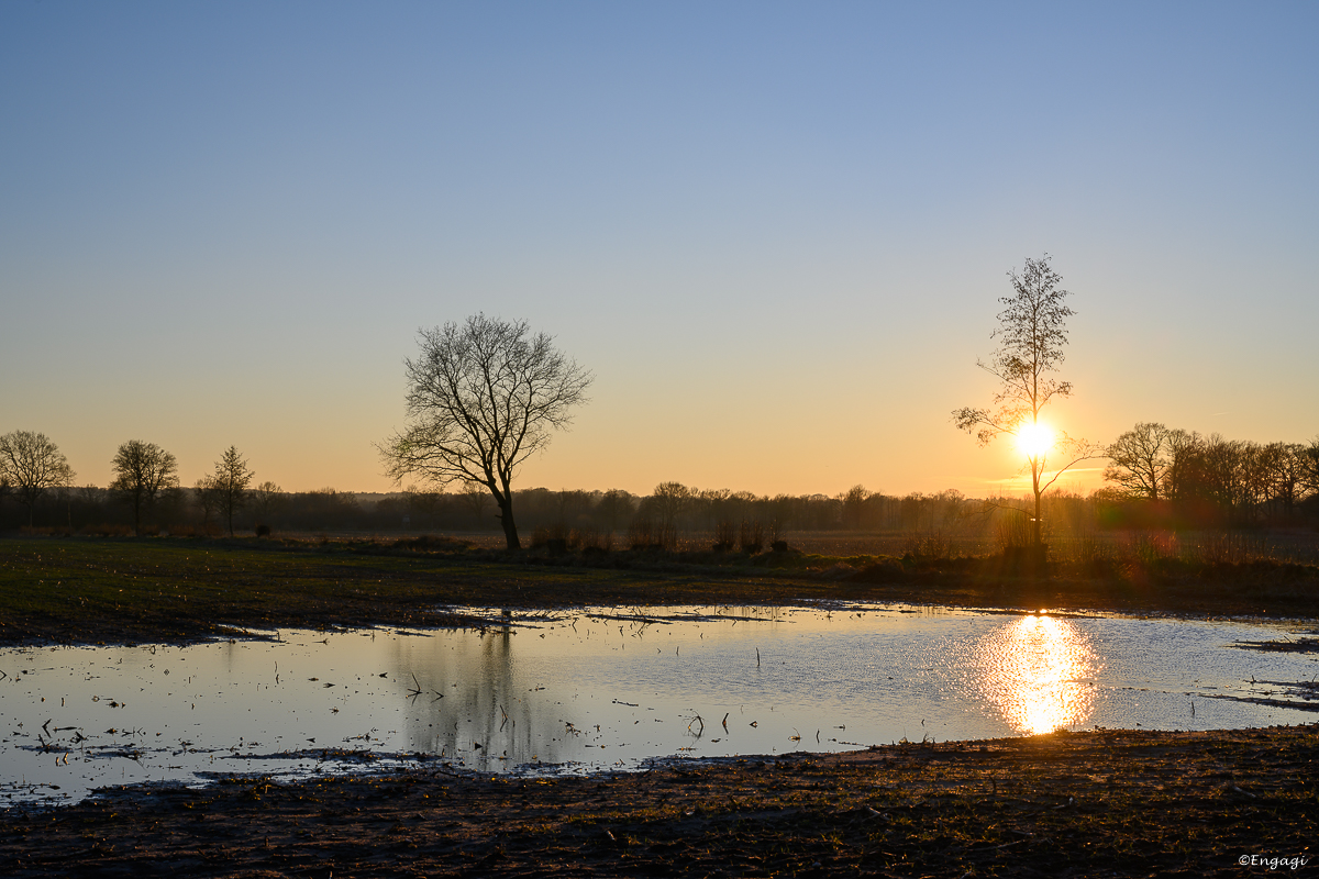 DSC_4098.jpg