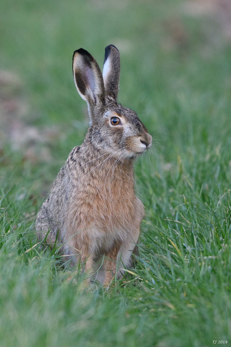 DSC_7189.jpg