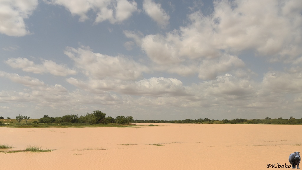 Das Bild zeigt ein breites Flaches Tal, dass beige-rötlichem Wasser gefüllt ist. Am flachen Ufer stehen ein paar Büsche. Am Himmel sind viele Wolken.