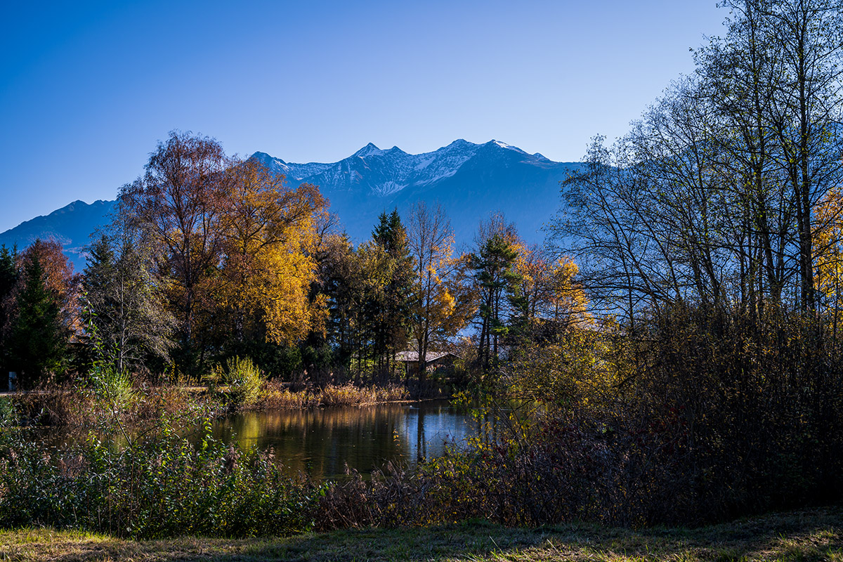 20201106_NZ7_1014NF.jpg