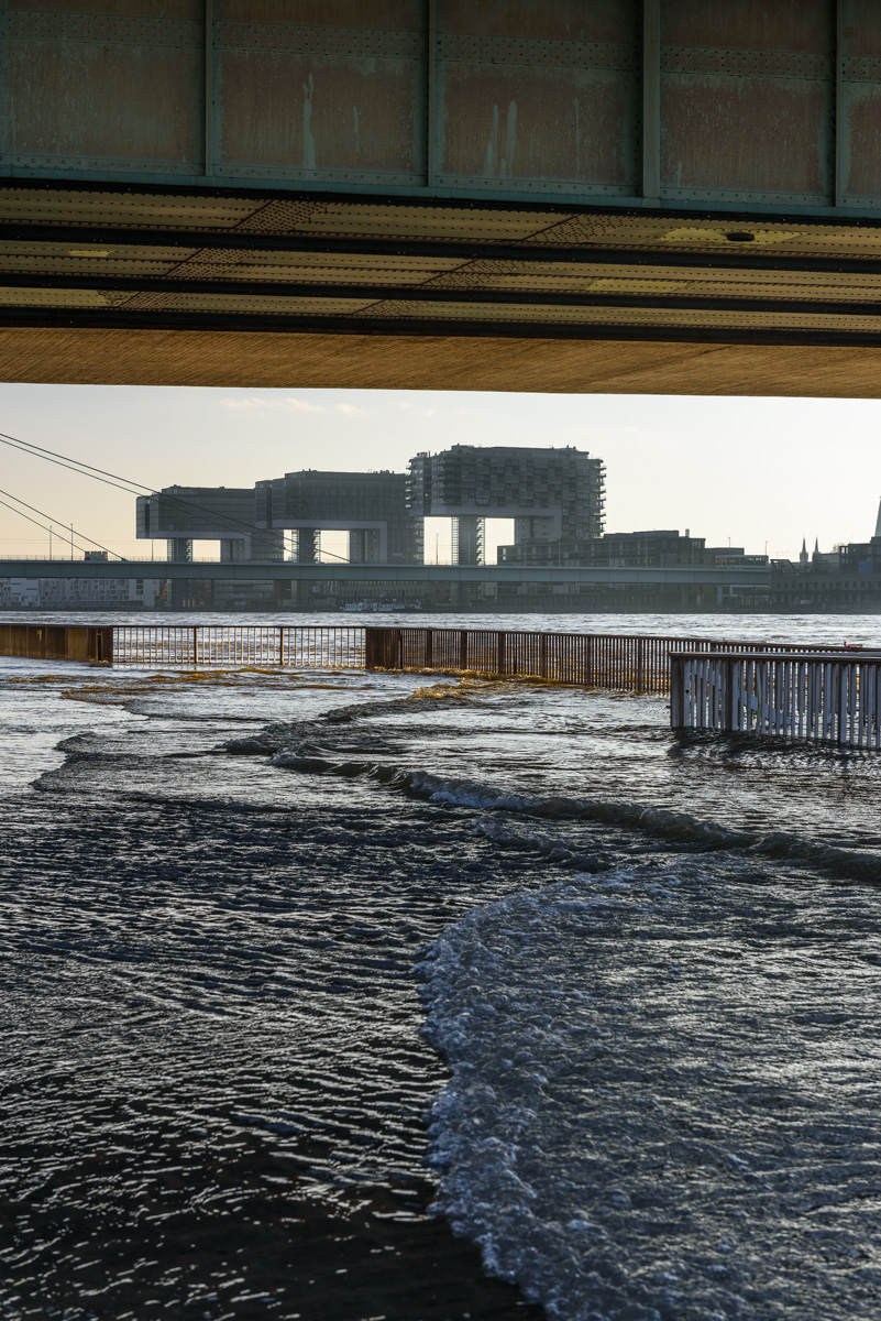 DSC_1773.jpg