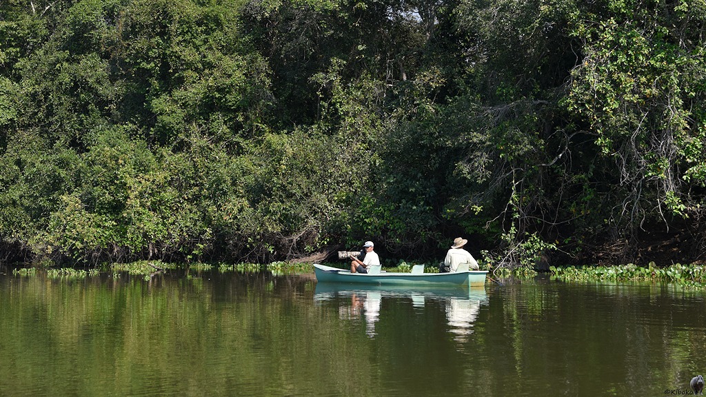 Grünes kanu mit zwei Insassen auf dem Fluss