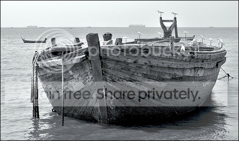x-compamMeer1rahmen_zps5558677a.jpg