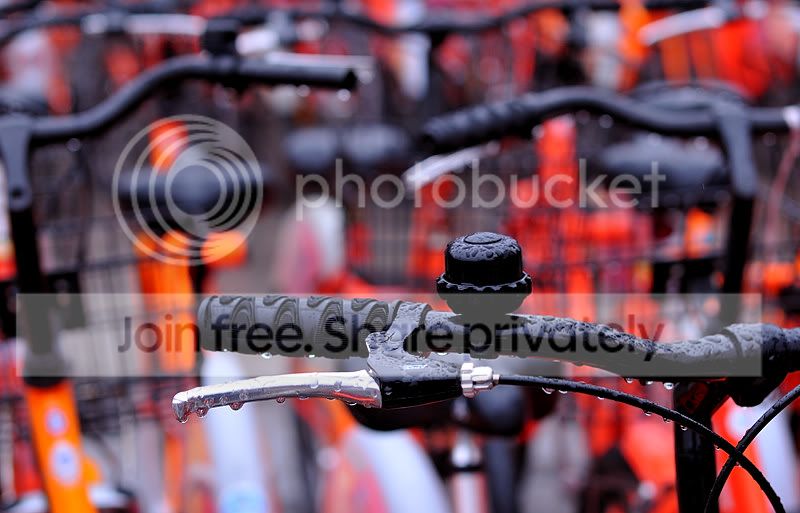 DOF-Bike.jpg