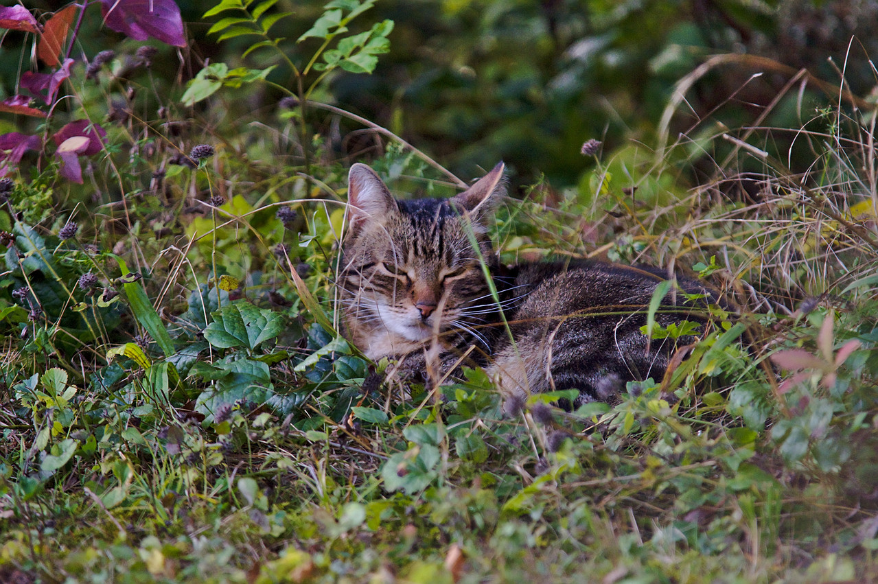 normal_DSC_6853.jpg