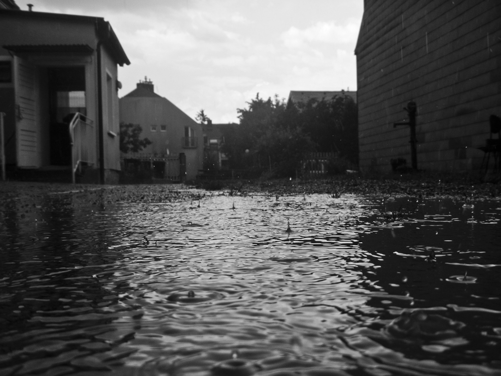 regen-11.jpg