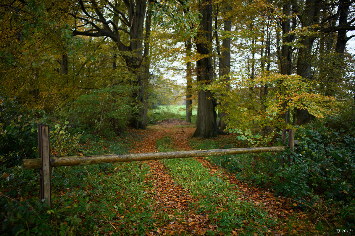 DSC_0120.jpg
